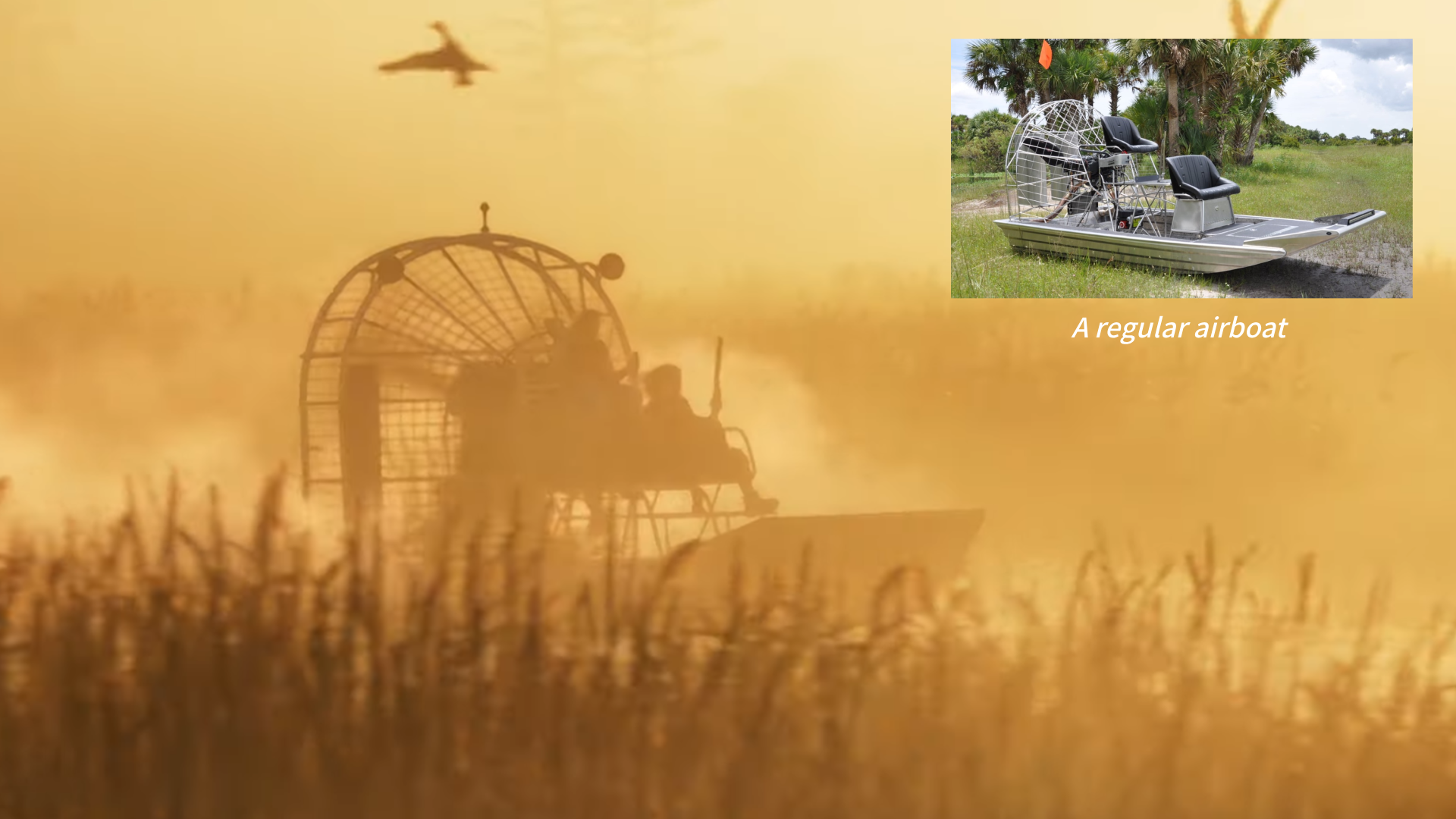 Airboat Swamp GTA 6
